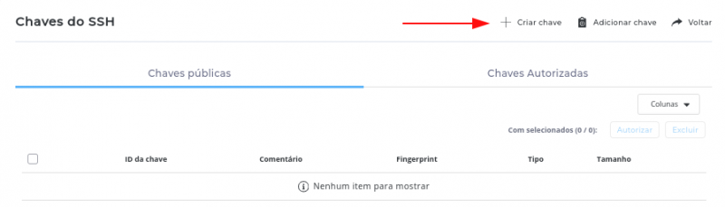 Arquivo:Directadmin-chaves-ssh2.png